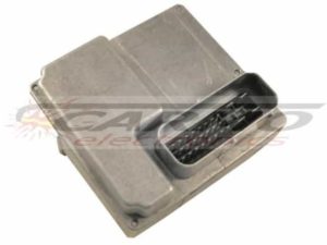 BMW-C1-ECU-7664624-7655299-7668133